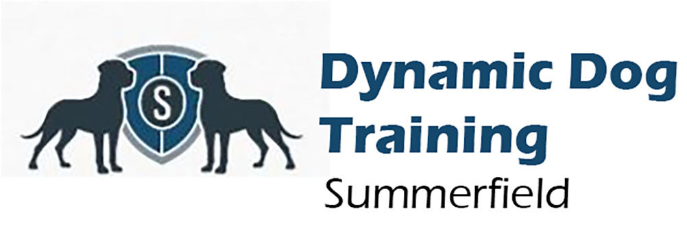 Summerfield Dynamic Dog Training